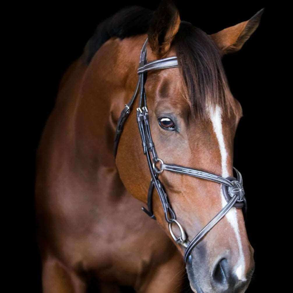 Ava Italian Leather Bridle