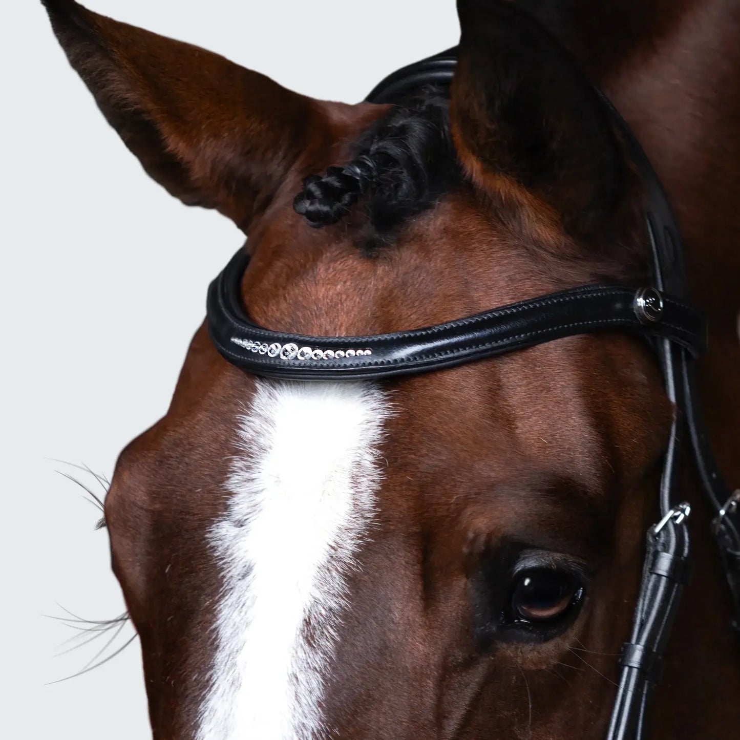 Close-up of a horse wearing the Stella Cavesson Bridle with a padded browband and subtle crystal detailing.