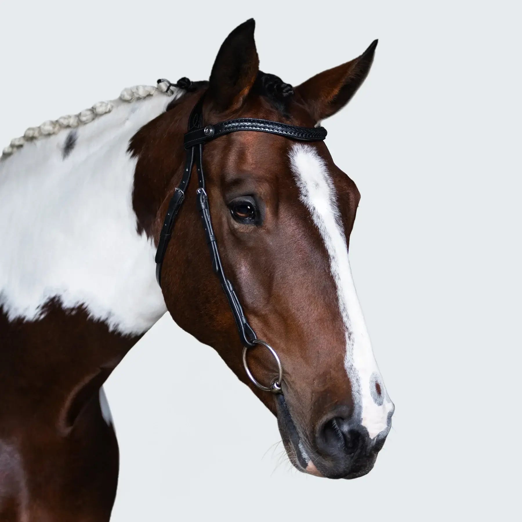 Close-up of a horse wearing a Sansa nosebandless bridle with a handcrafted plaited browband.