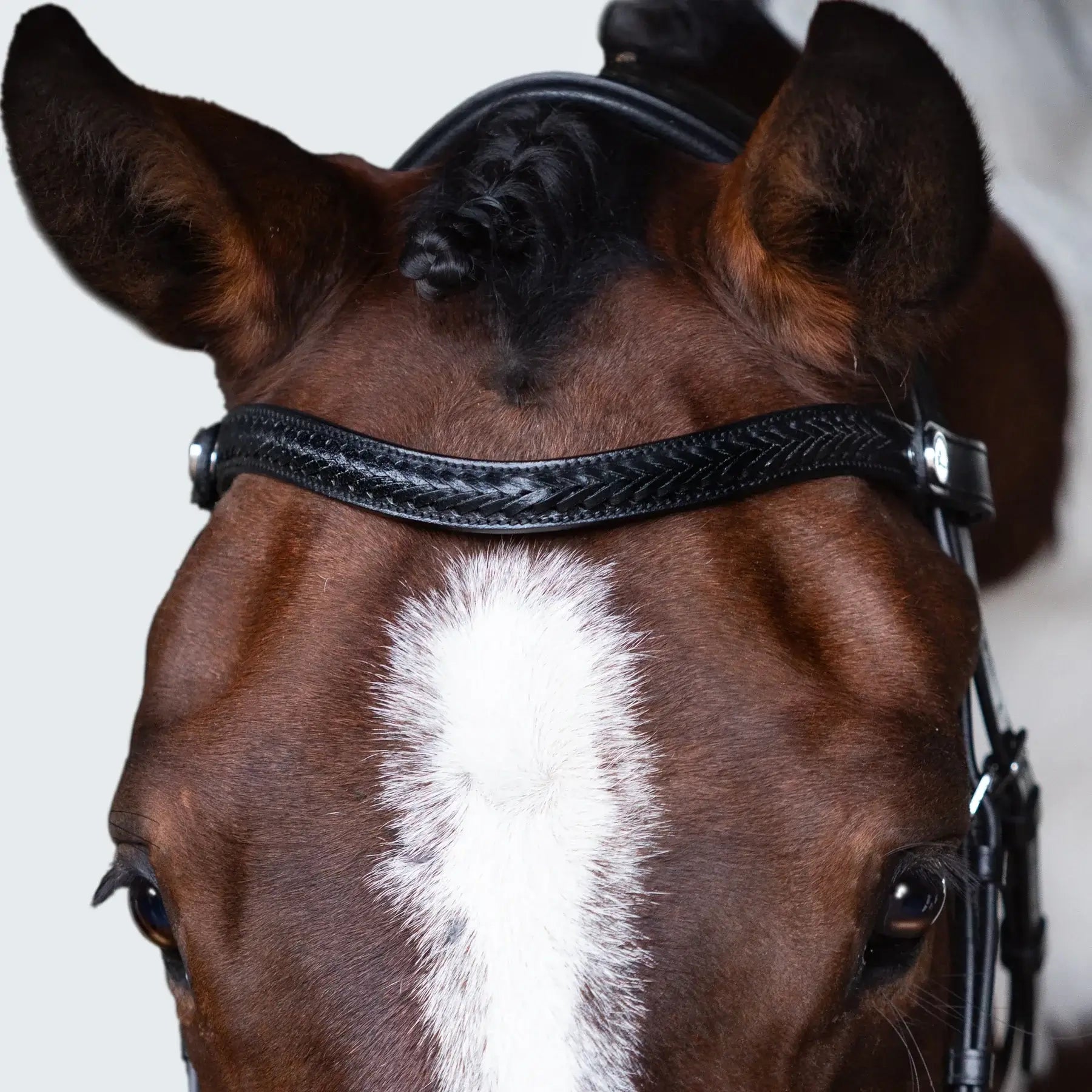 Close-up of a horse wearing a Sansa nosebandless bridle with a handcrafted plaited browband.