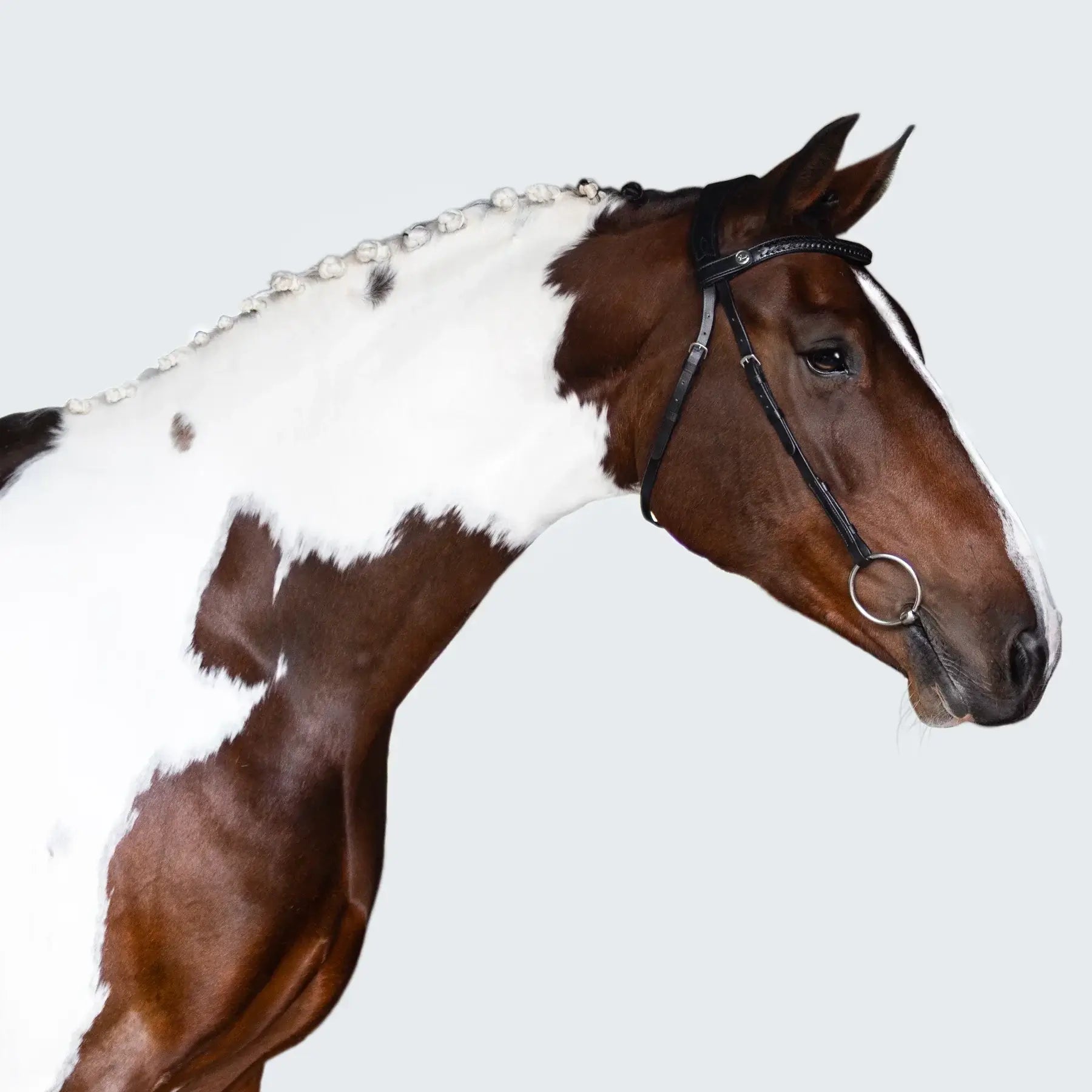 Side view of a horse wearing the handcrafted Sansa nosebandless bridle with a plaited browband.