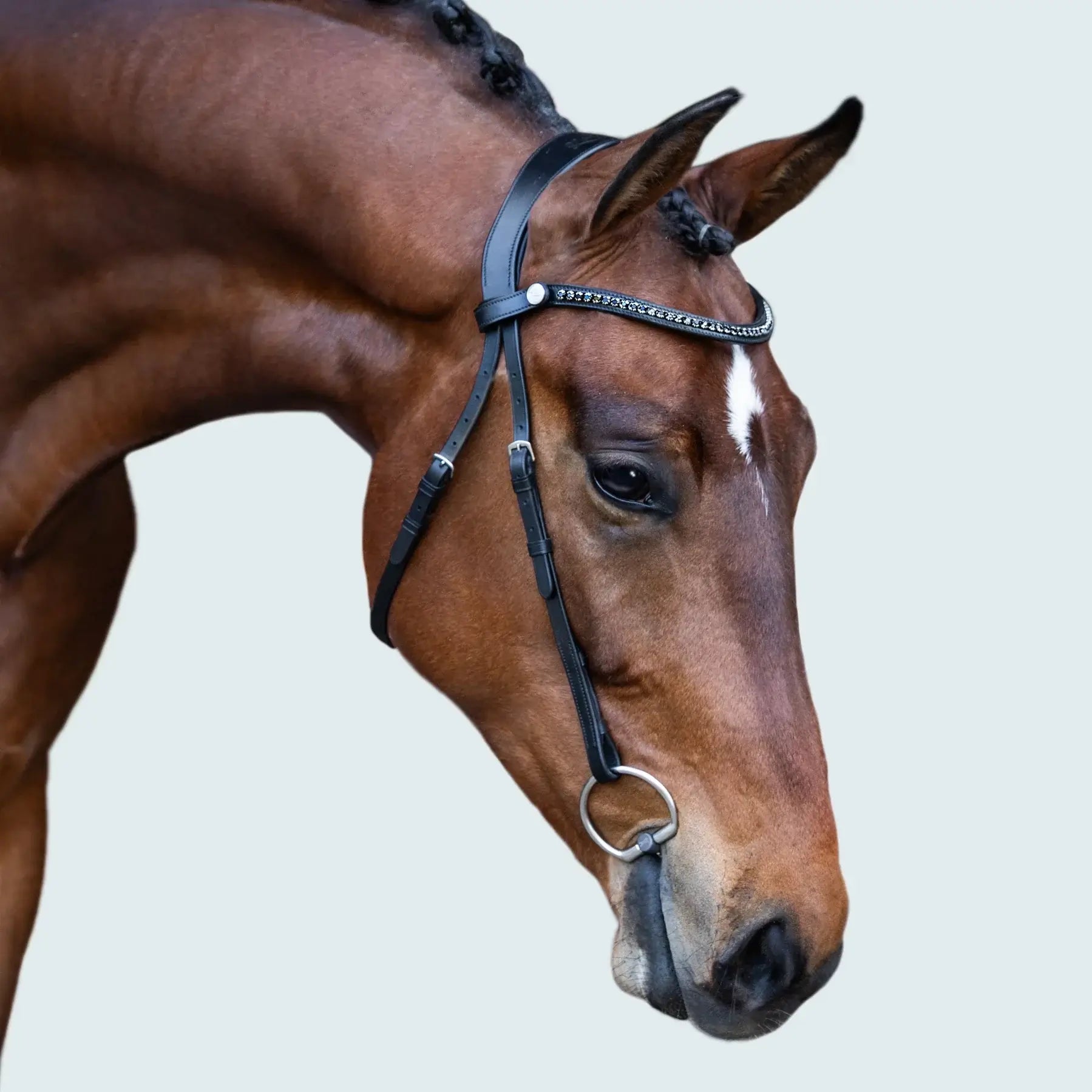 Sienna Nosebandless Bridle on a horse, featuring a curved browband with black Austrian Stellux crystals.