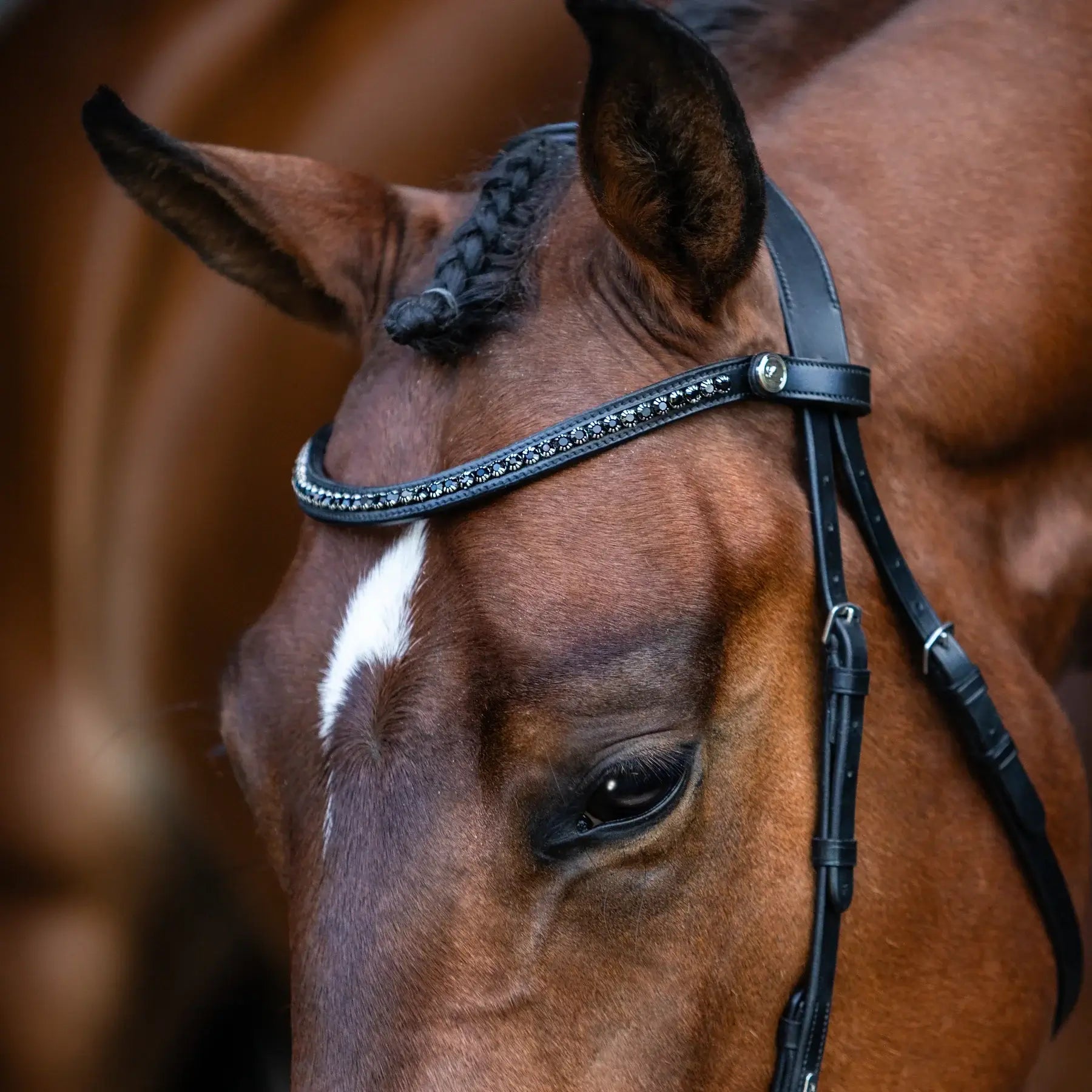 Close-up of a horse wearing the Sienna Nosebandless Bridle with a crystal browband for stylish equestrian elegance.