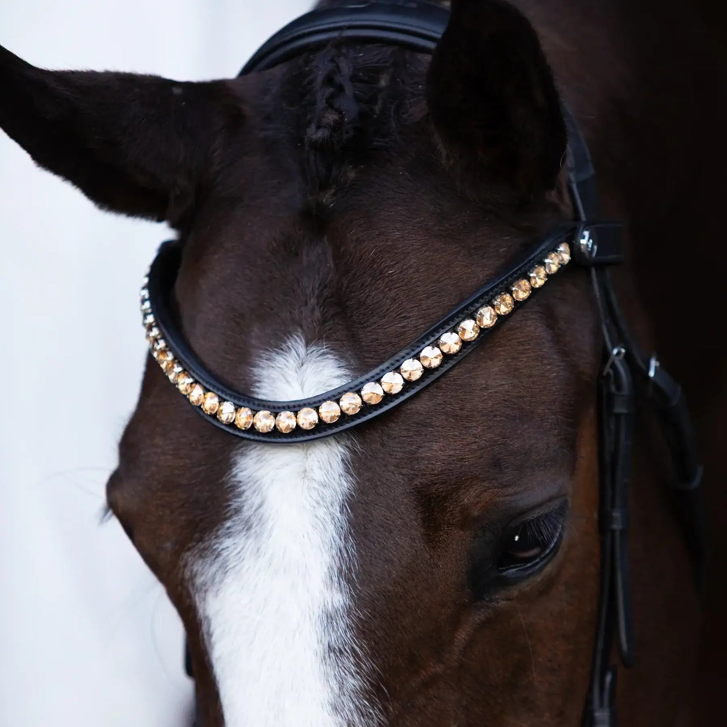 Close-up of a horse wearing the stylish Seline bitless bridle with amber crystal browband.