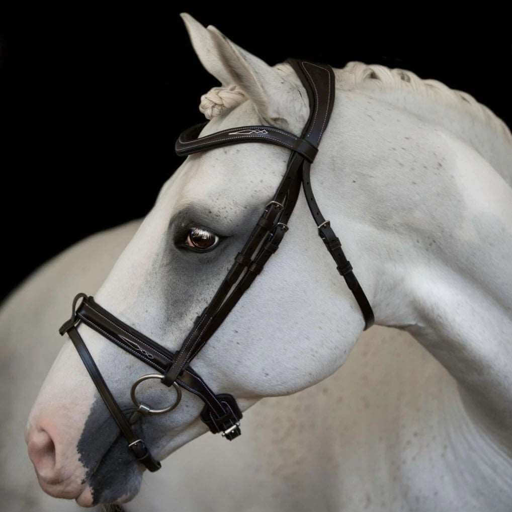 Milan Convertible Bridle