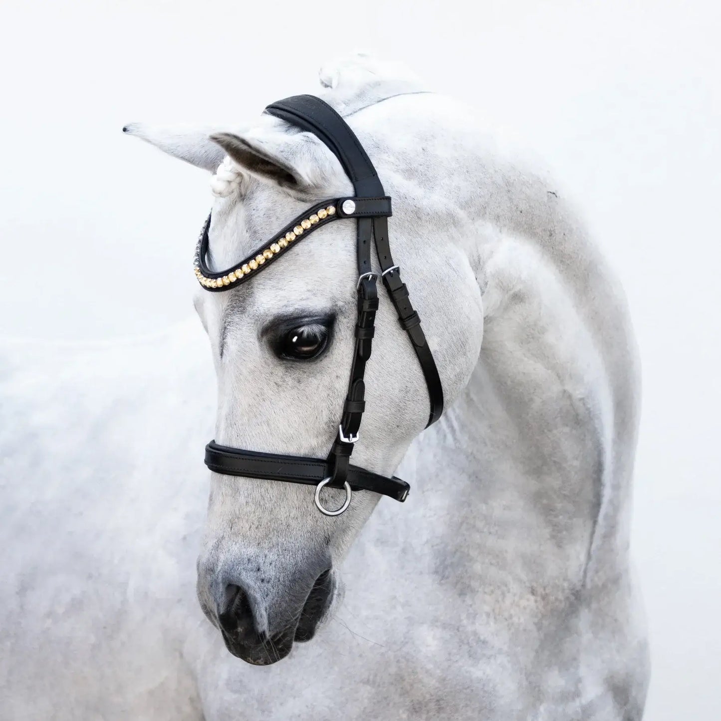 Iddy Biddy Bitless Pony Bridle on a gray pony, showcasing its stylish design and gel-padded headpiece.