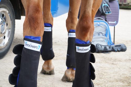 Cryochaps Ice Wrap Boots