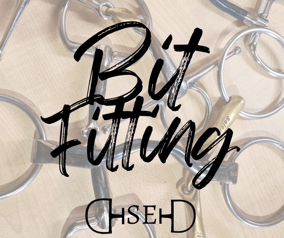 Online Bit Fit Consult