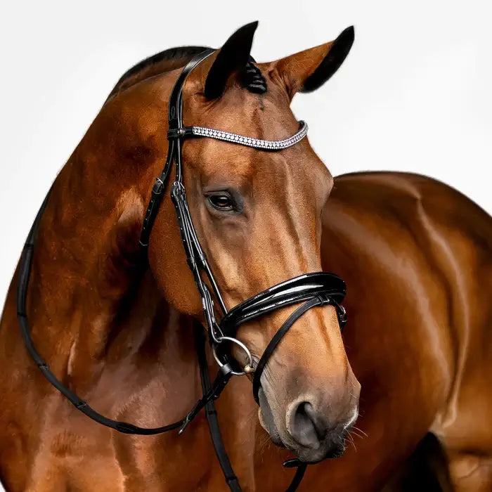 Horse wearing the Amie Flat Leather Bridle with black patent noseband and crystal wave browband.