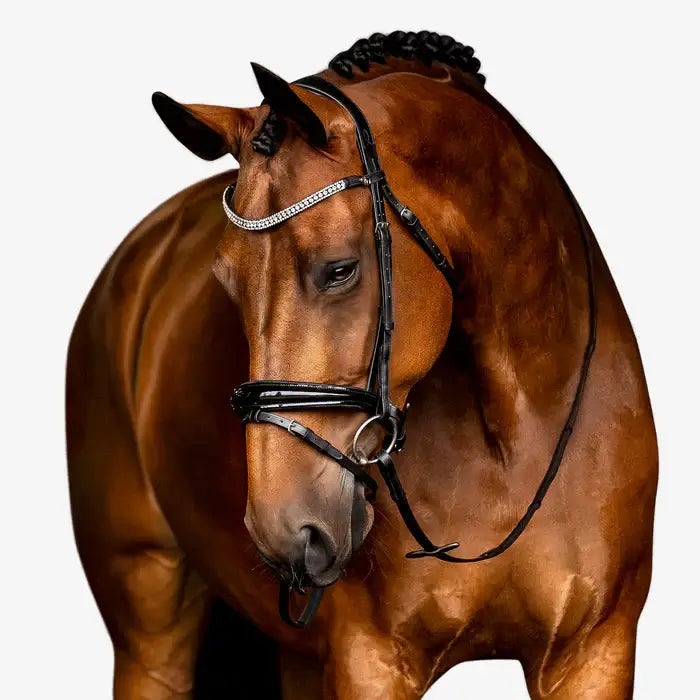 Amie Flat Leather Bridle on a brown horse showcasing the elegant crystal wave browband and padded noseband.