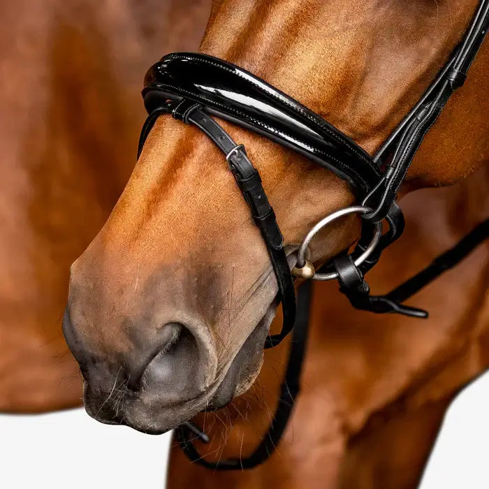 Close-up of a horse's muzzle wearing an Amie flat leather bridle with a shiny black patent noseband.