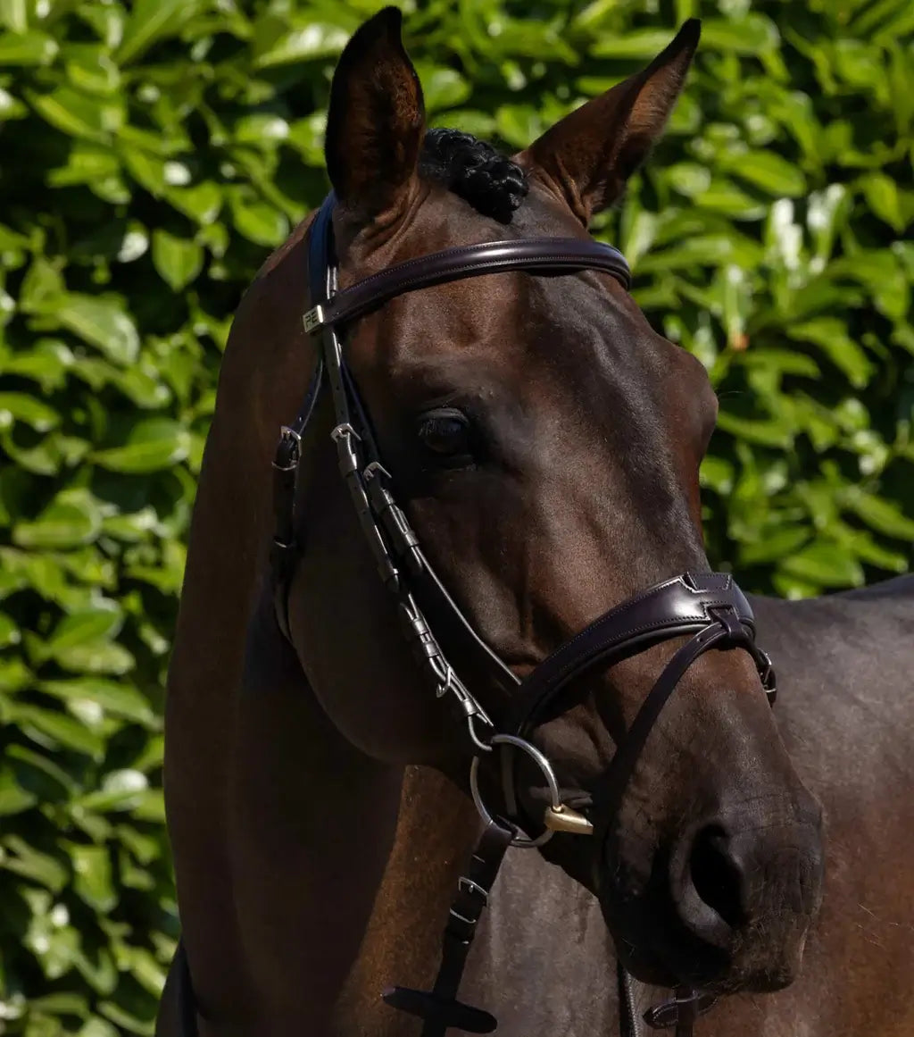 PE Artana Bridle