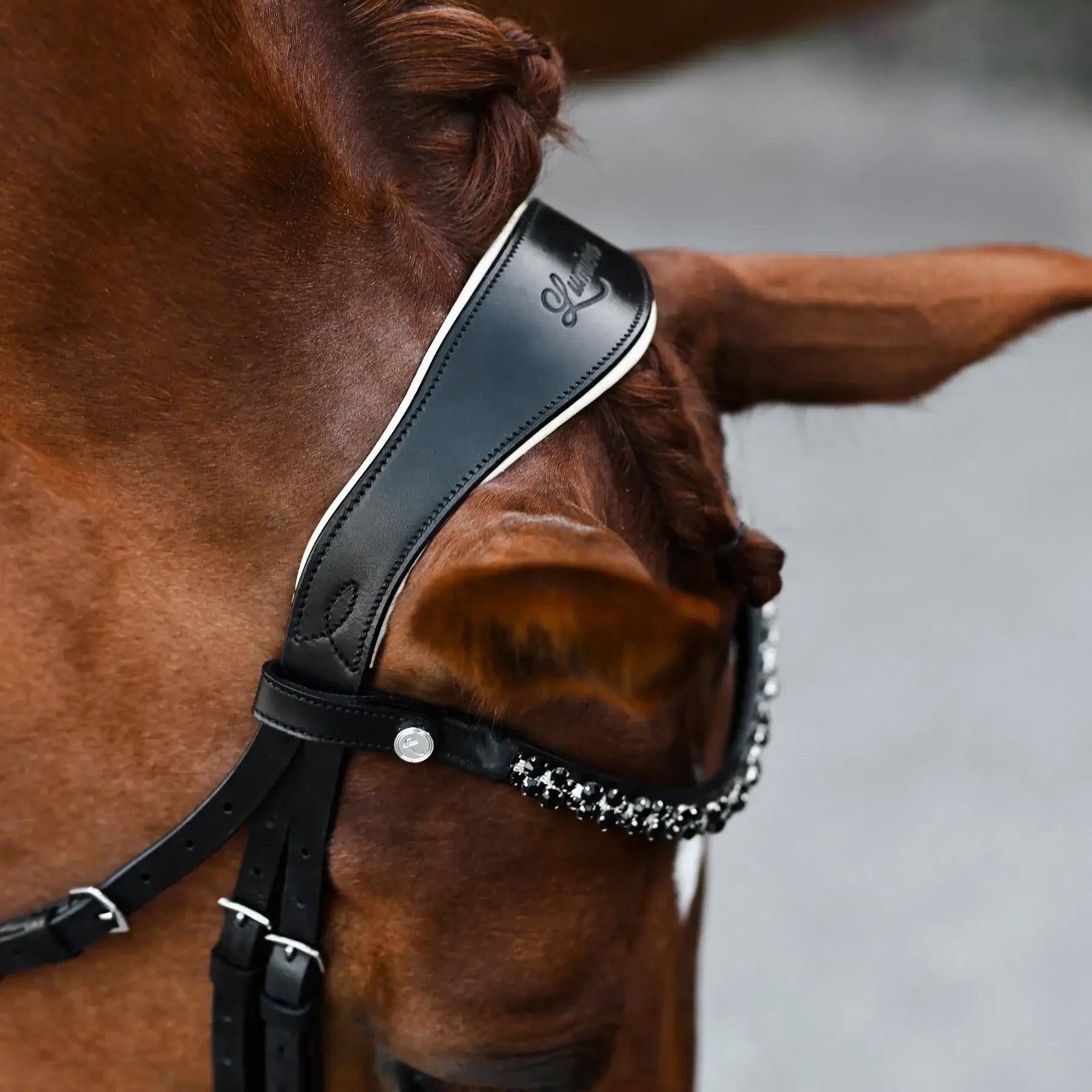 Close-up of Sibella Hanoverian bridle showcasing unique black leather browband with Austrian stellux crystals.