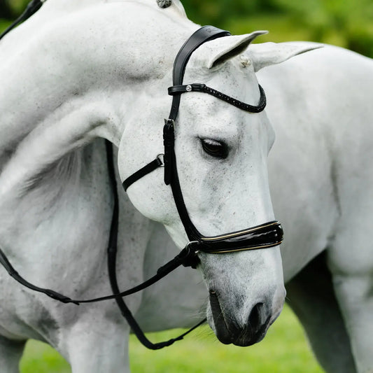 Elegant white horse wearing the luxury Skyla bitless bridle with a patent noseband and crystal browband.