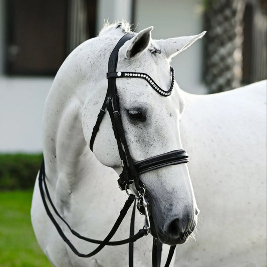 Elegant Saphira double bridle on a grey horse, featuring a crystal browband and dark silver piping.
