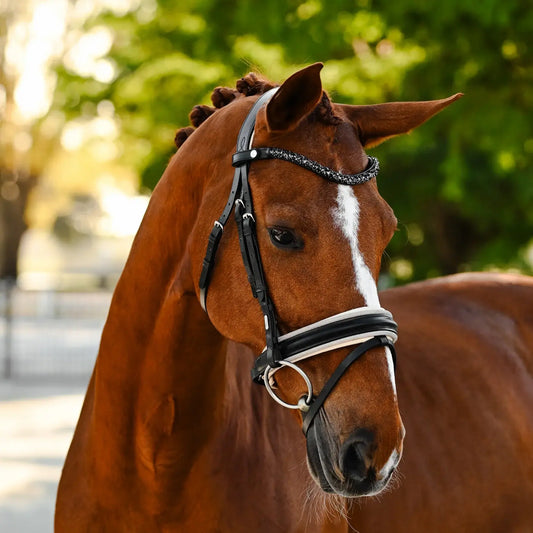 A majestic horse wearing the Sibella Hanoverian bridle with unique black Austrian crystals and elegant leather details.