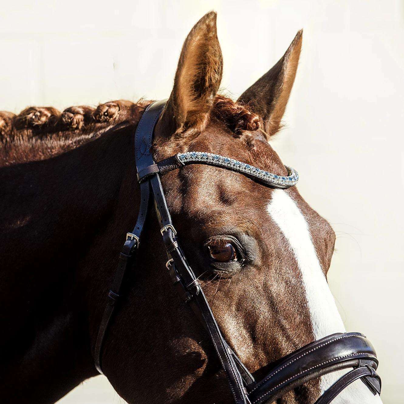 Anastasia Bridle