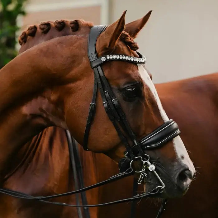 Elegant horse wearing Diva double bridle with crystal browband and gel-padded headpiece, showcasing comfort and style.