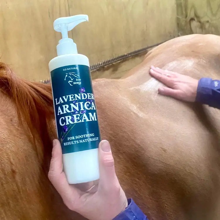 Eco Horse Lavender Arnica Cream applied on a horse's back for soothing muscle relief and natural recovery.