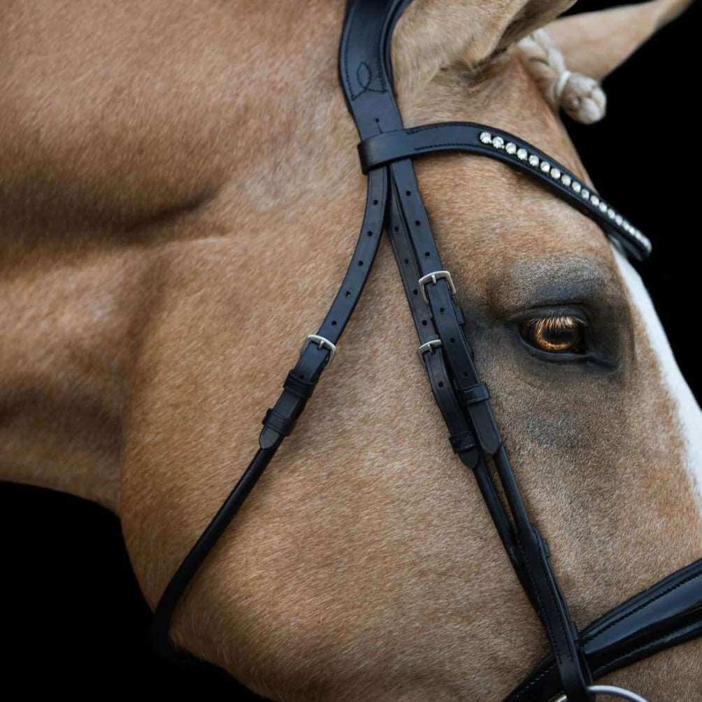 Aurelie Hanoverian Rolled Leather Bridle