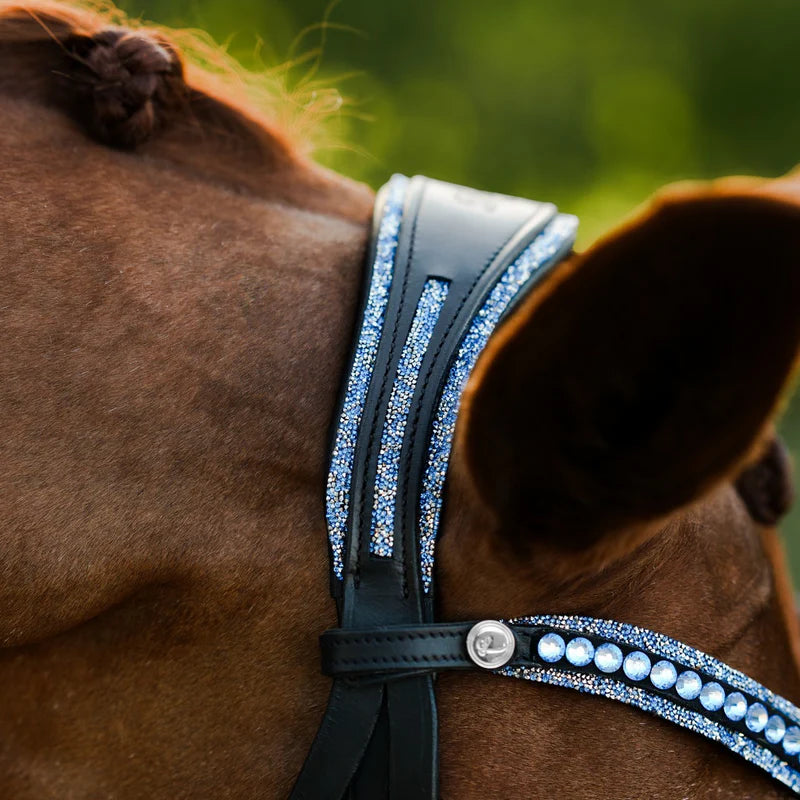 Lumiere Paris Bridle