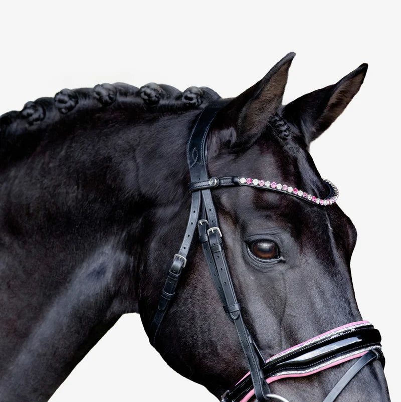 Lumiere Paloma Bridle