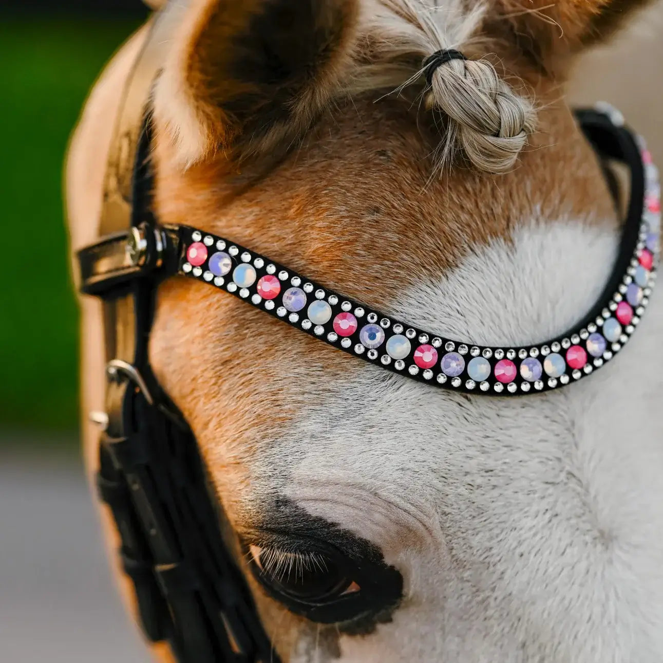 Close-up of a unicorn bridle featuring a luminous browband with pink and purple crystals on a pony.