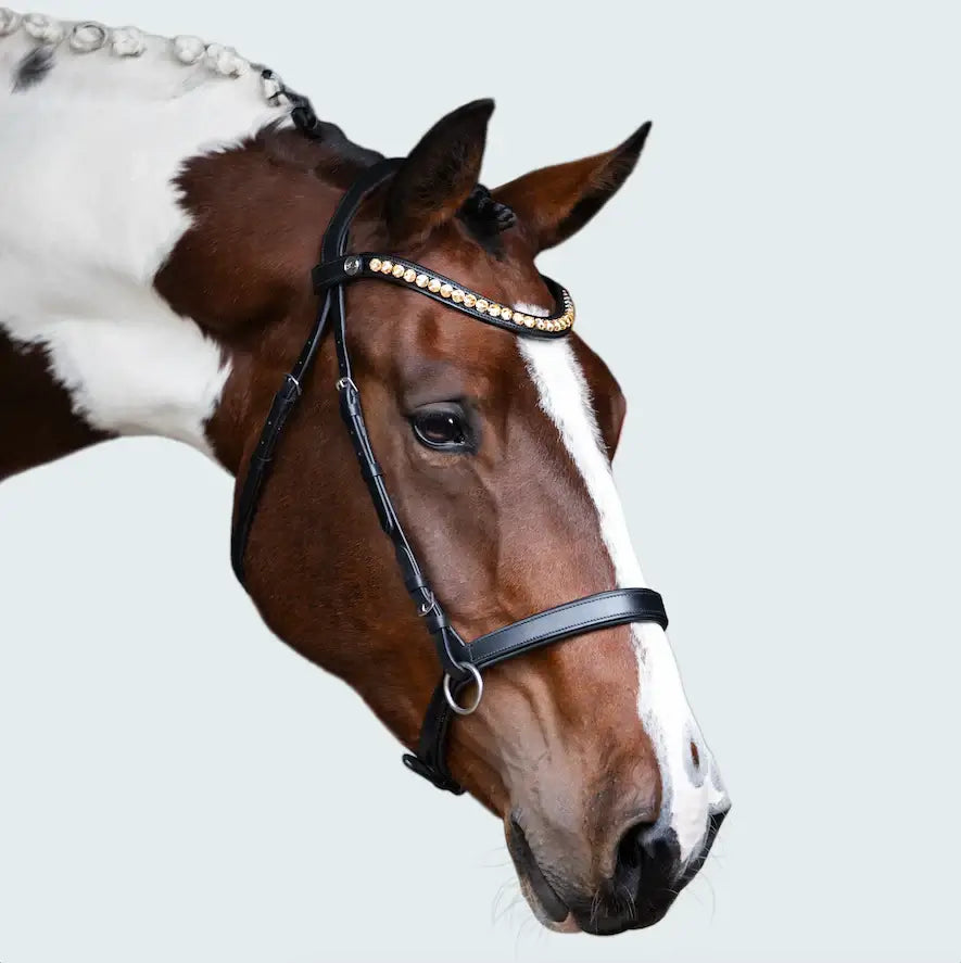 Close-up of a horse wearing the Seline Bitless Bridle with amber crystals and a stylish design.