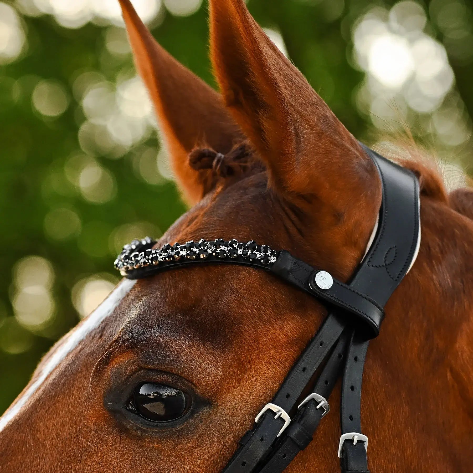 Elegant horse wearing Sibella Hanoverian bridle with black crystals and leather accents, showcasing fine craftsmanship.