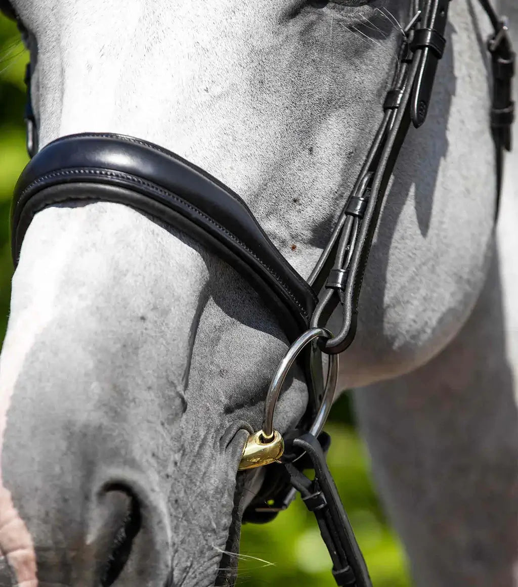 Close-up of PE Verdura Bridle on a horse, showcasing high-quality Italian leather and an ergonomic design for comfort.