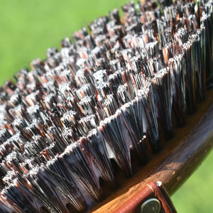 Close-up of Eco Horse Brush with clean bristles, ready for effective equine grooming.