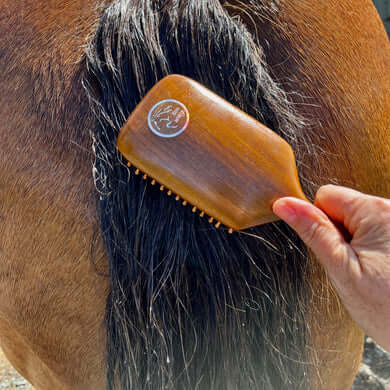Person using the Eco Horse Workhorse Brush on a horse's tail, showcasing its natural beechwood handle and bamboo bristles.