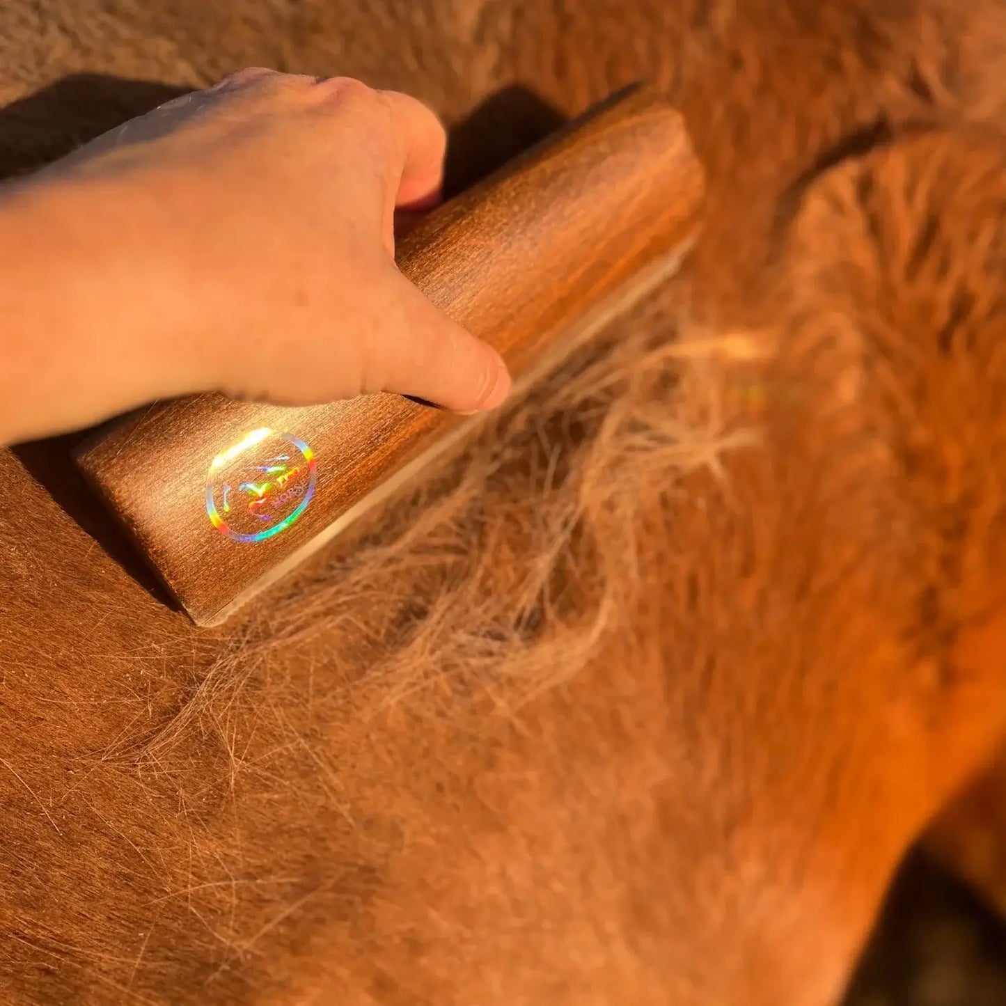 Hand using Eco Horse Eco Shedder on horse's coat, effectively removing dirt and hair with a stylish beach wood handle.