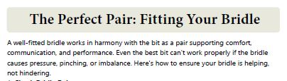 The Perfect Pair: Fitting Your Bridle - Tips for Ensuring Comfort and Performance in Horse Riding.