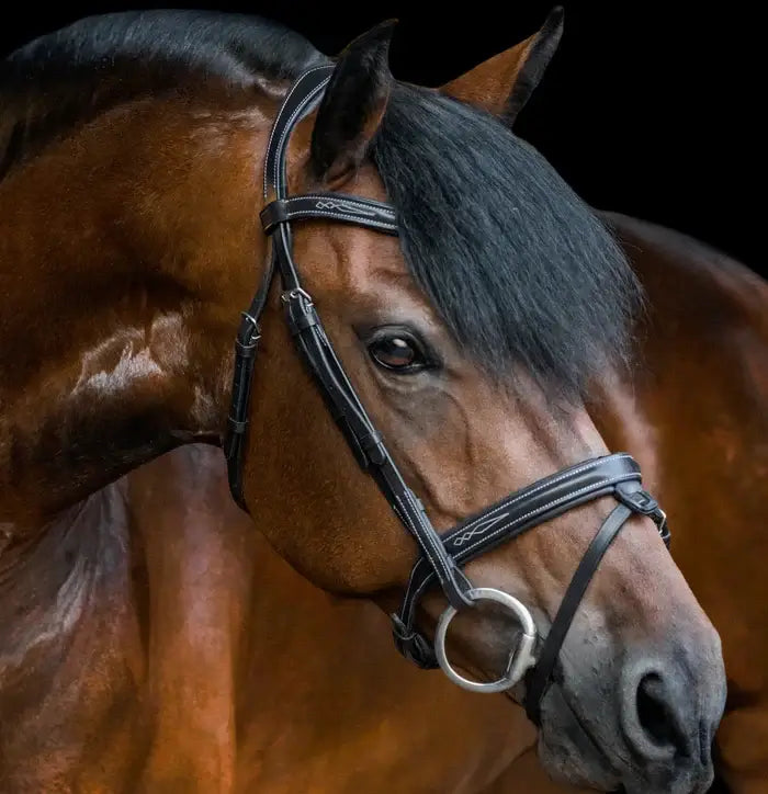 Milan Convertible Bridle