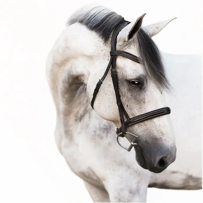 Milan Convertible Bridle