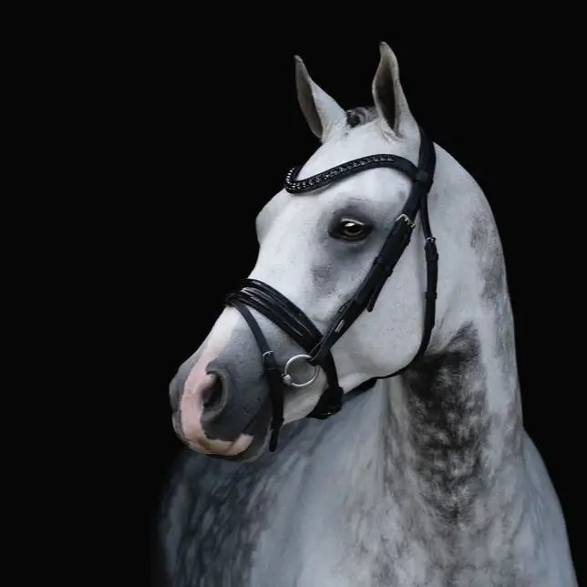 Arcadia Patent Hanovarian Bridle