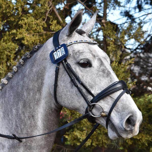 Anastasia Bridle