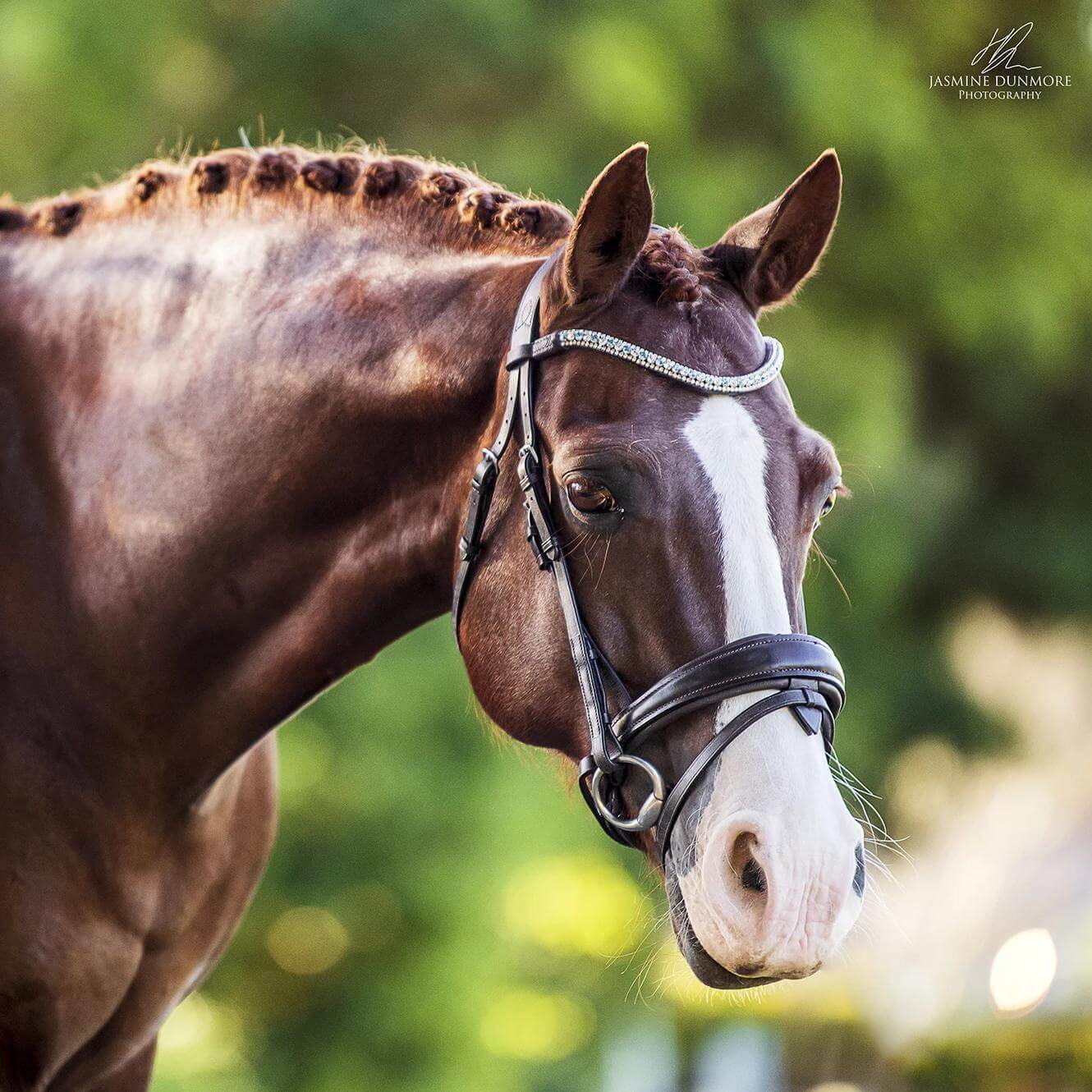 Anastasia Bridle