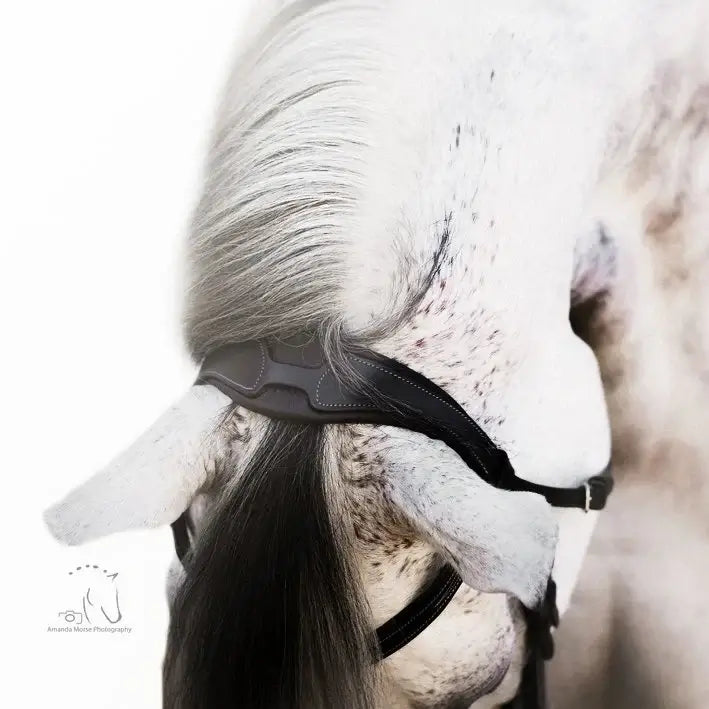 Milan Convertible Bridle