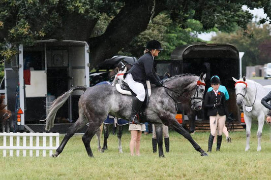 Bits for Thoroughbreds