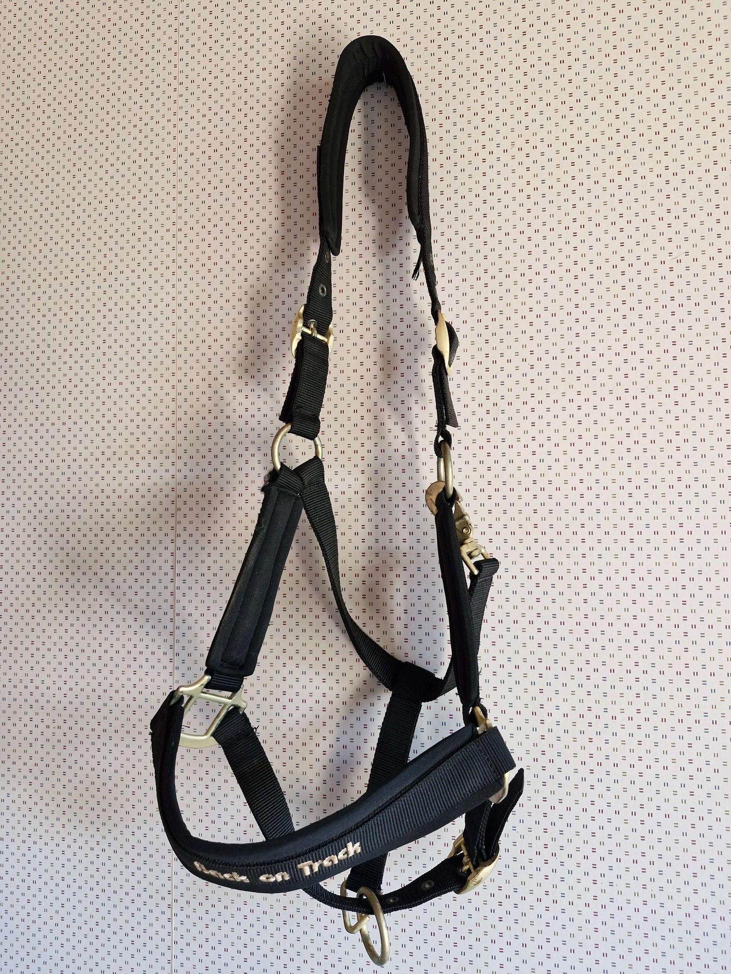 Back On Track Halter