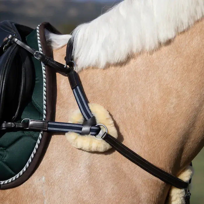 Antiqua 5 Point Breastplate