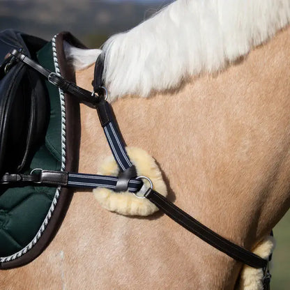 Antiqua 5 Point Breastplate