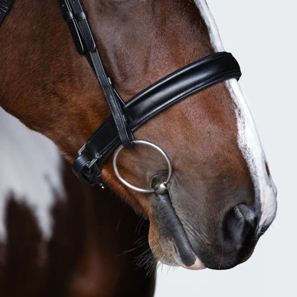 Close-up of a horse's face wearing a Stella Cavesson Bridle, showcasing its classic design and quality craftsmanship.