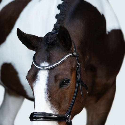 Close-up of a horse wearing a Symphony bitless bridle with a glossy noseband and crystal browband.