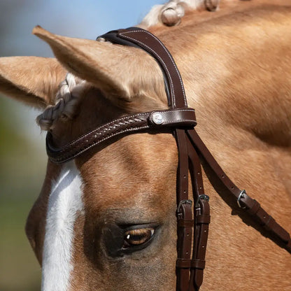 Delaney Snaffle Bridle