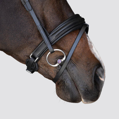 Lumiere Melody Bridle