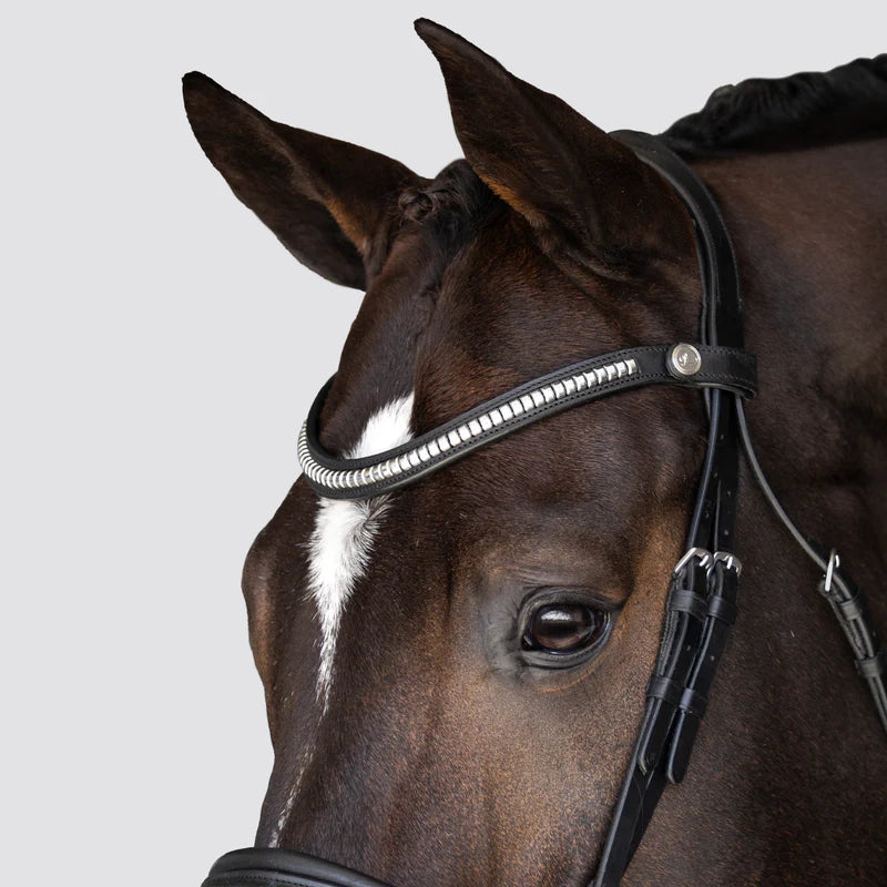 Lumiere Melody Bridle