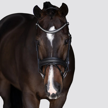 Lumiere Melody Bridle